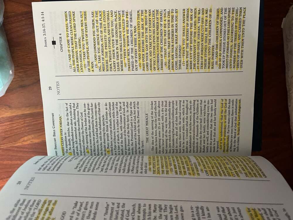 Jimmy Swaggart Bible Commentary: Joshua, Judges, Ruth - Picture 3 of 3